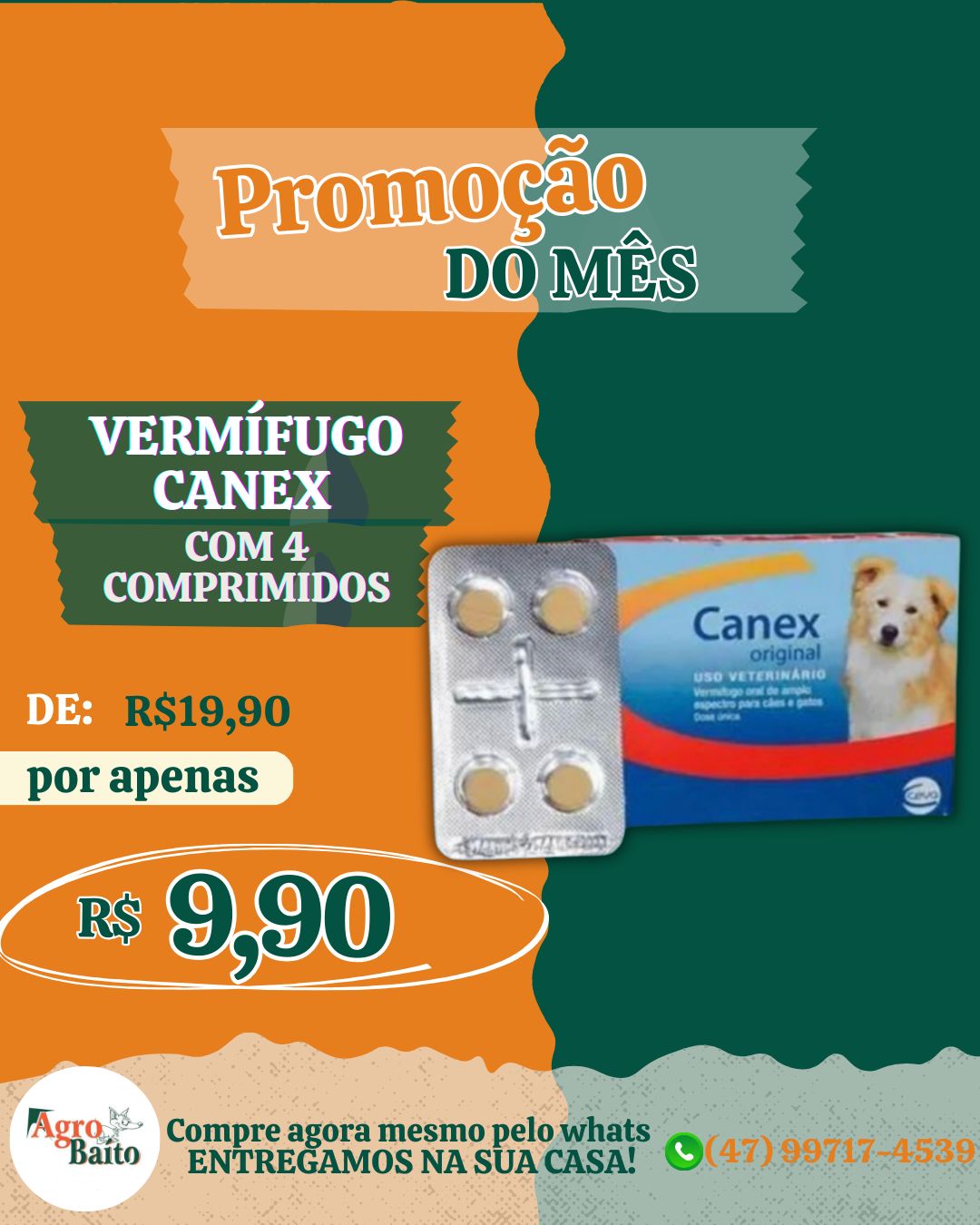 Feed - Dog - Vermífico carnex