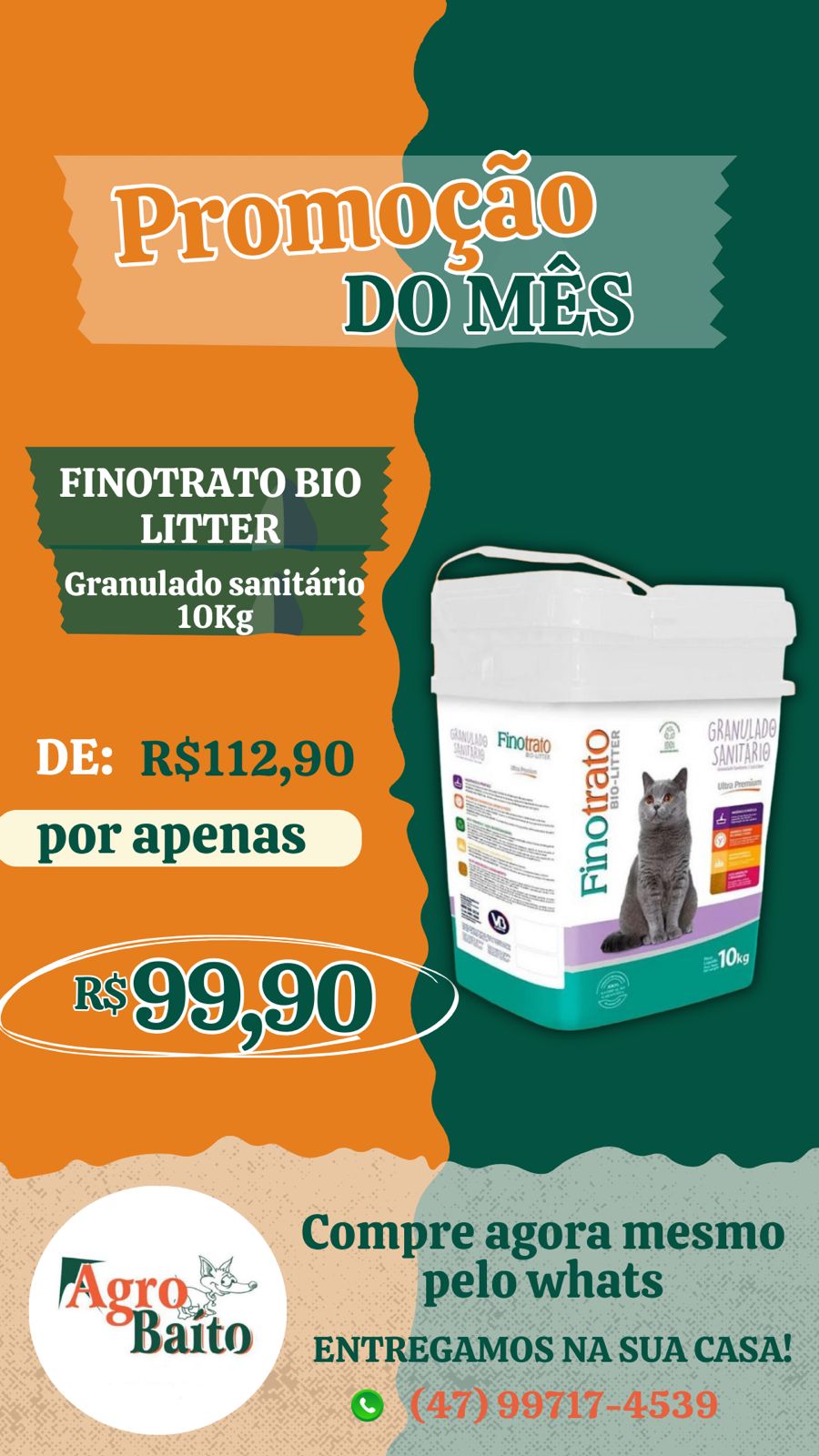 Story - gatos - Areia 10 Kg